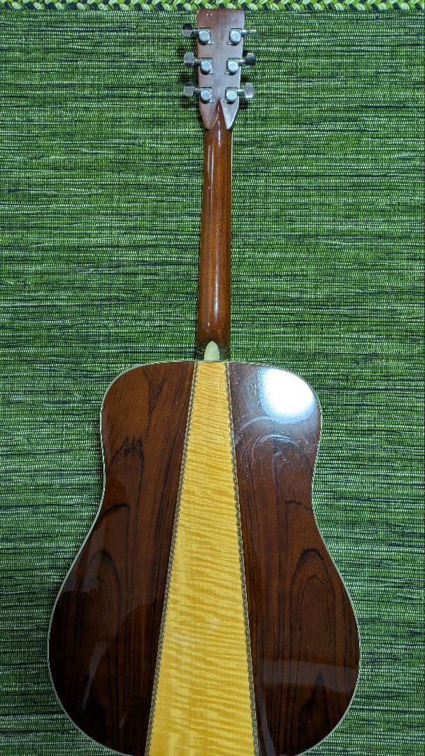 ギター TF MORRIS W50