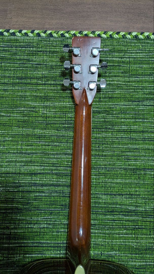 ギター TF MORRIS W50