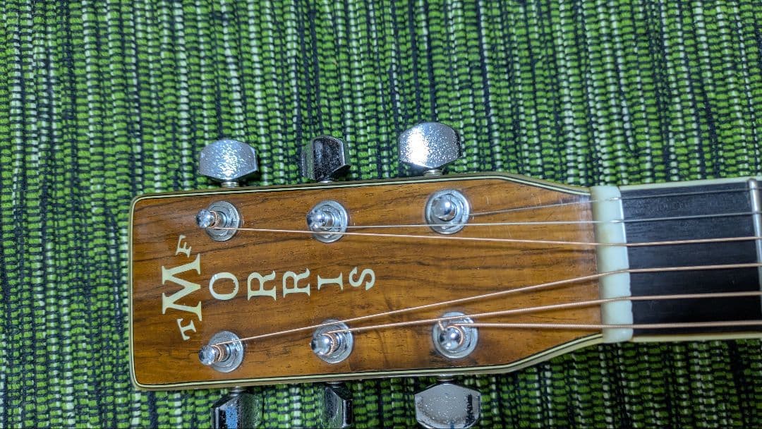 ギター TF MORRIS W50