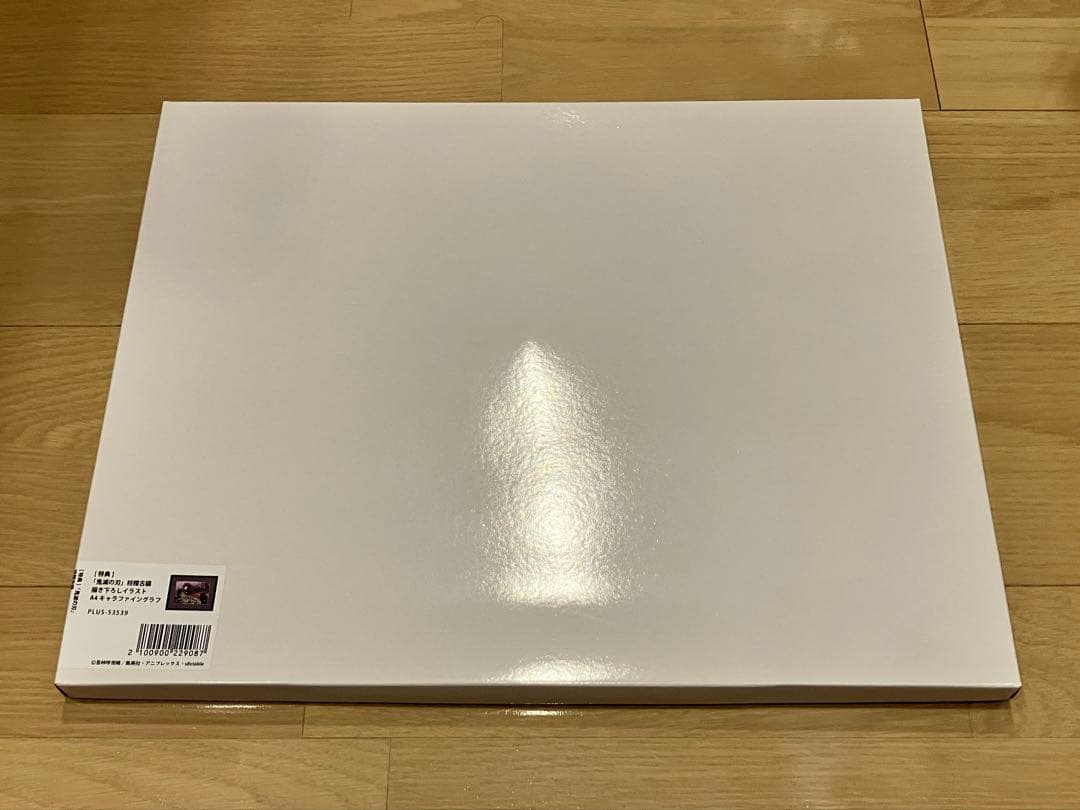 鬼滅の刃 柱稽古編／書き下ろしイラストA4キャラファイングラフ（冨岡義勇）