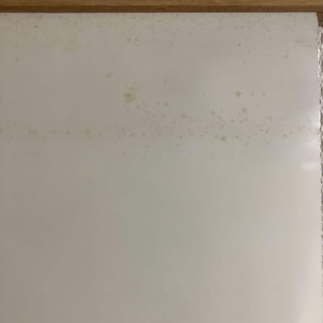 OVA「真・女神転生〜東京黙示録〜」DVD特典ポスター（B2サイズ）。美品です。