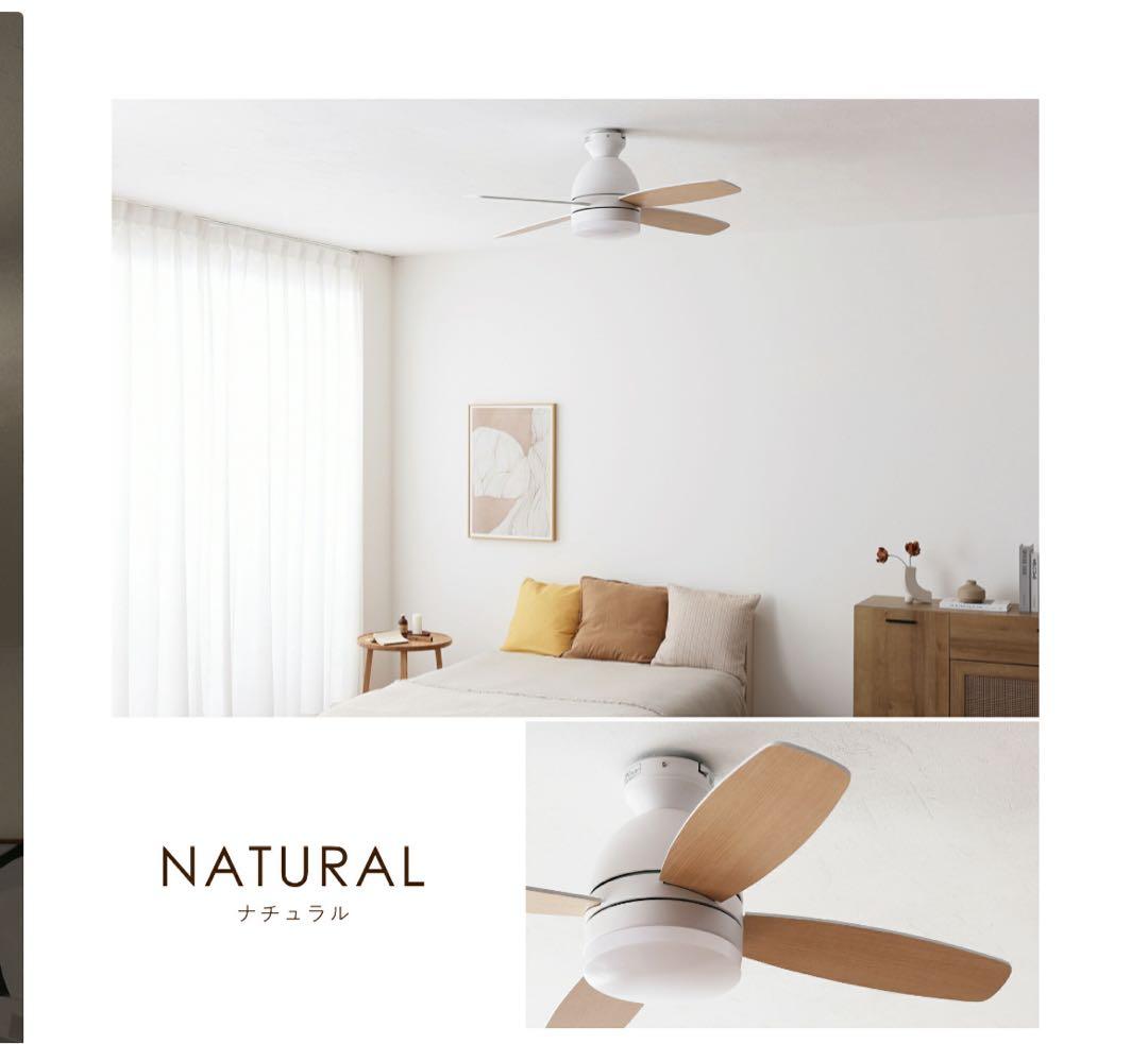 シーリングファンライト　✴︎Forte✴︎フォルテ　《送料込み》