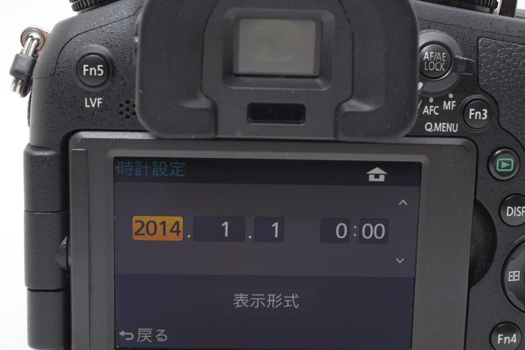 Panasonic LUMIX DMC-1000 パナソニック デジタルカメラ