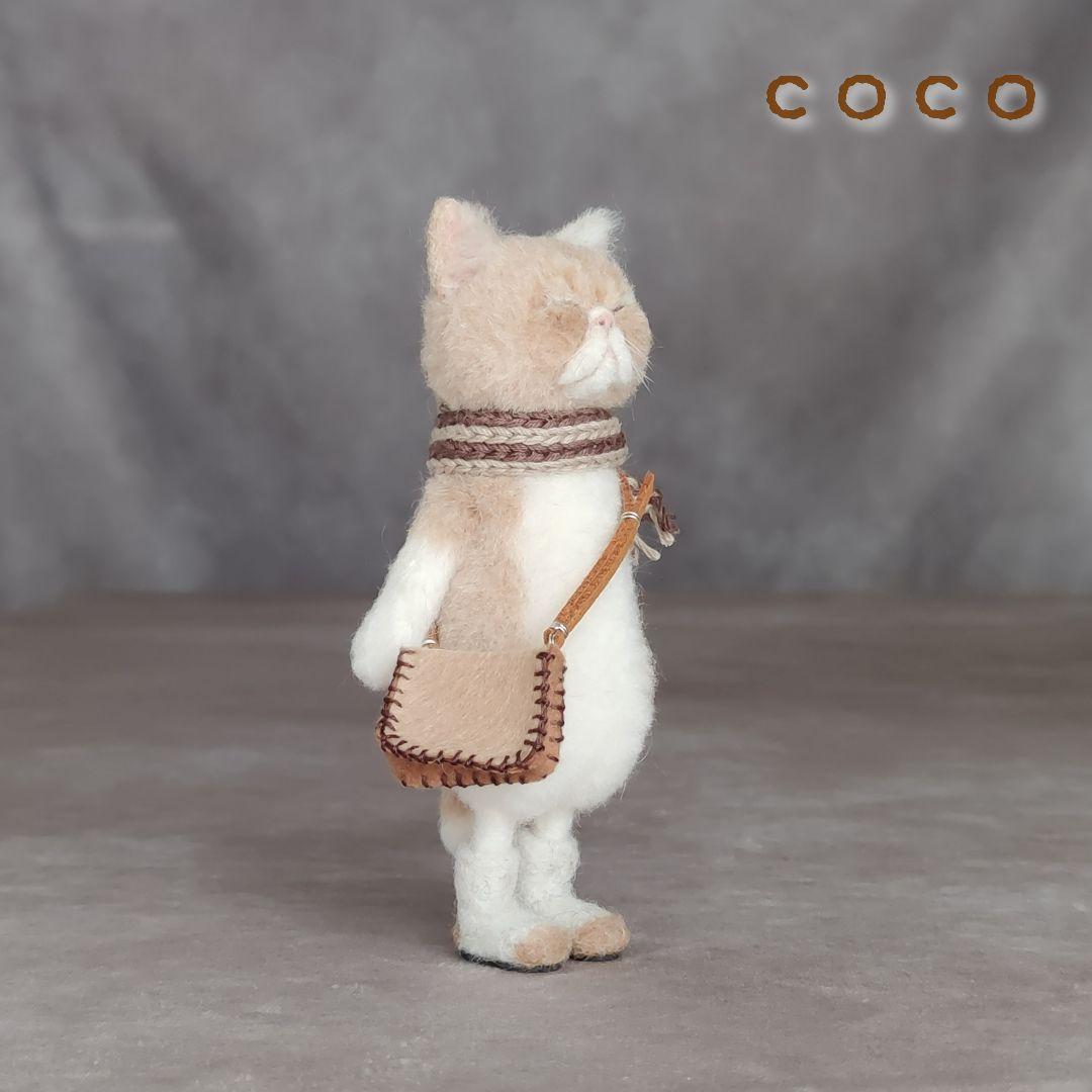 ショルダーバックを下げたエキゾチックショートヘアさん