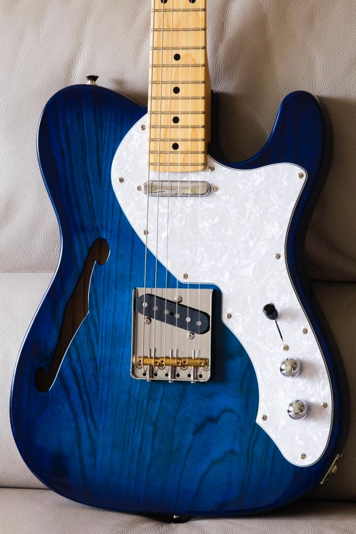 ギター FGN FUJIGEN NTE10MAH SBB Neo Classic