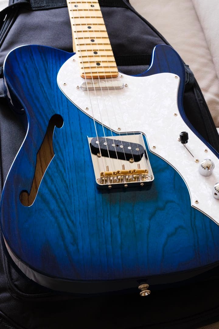 ギター FGN FUJIGEN NTE10MAH SBB Neo Classic