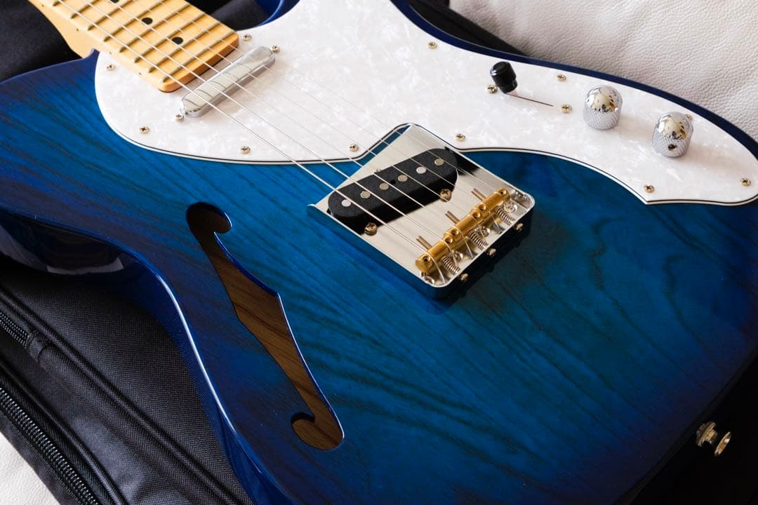 ギター FGN FUJIGEN NTE10MAH SBB Neo Classic