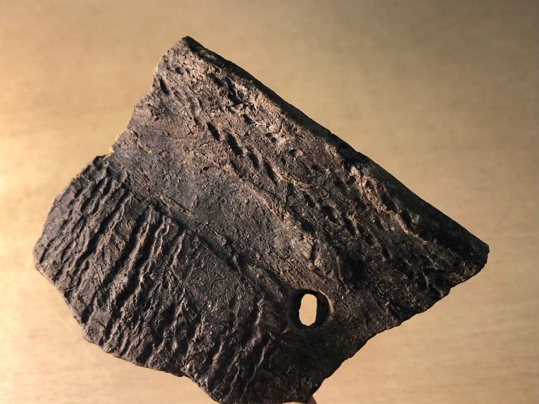 「土器の欠片 縁の部分 No.660」です。