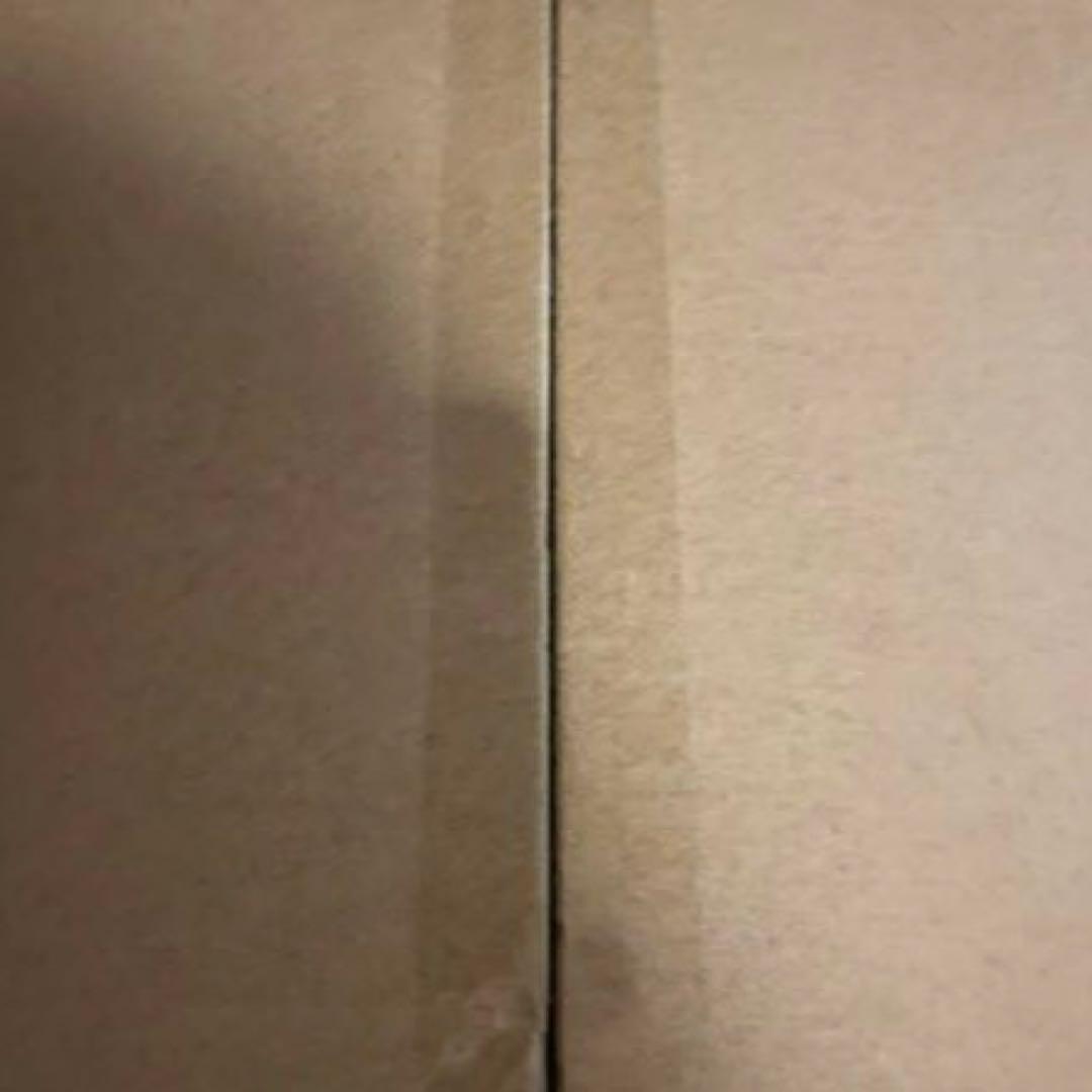 【新品】エレキギター 初心者入門セット STタイプ