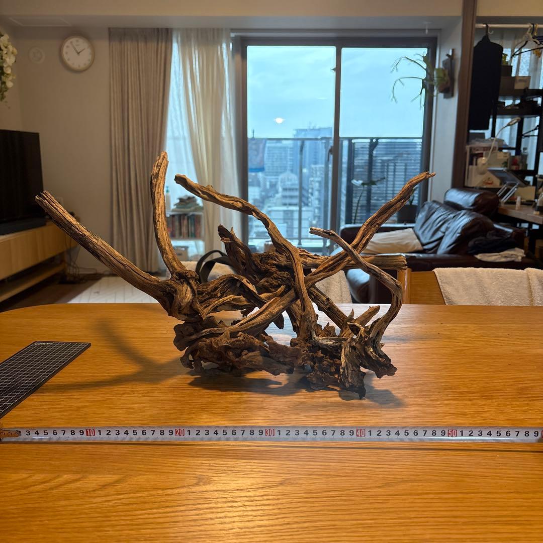 【早い者勝ち】ADA流木　5本（まとめ買い500円引）