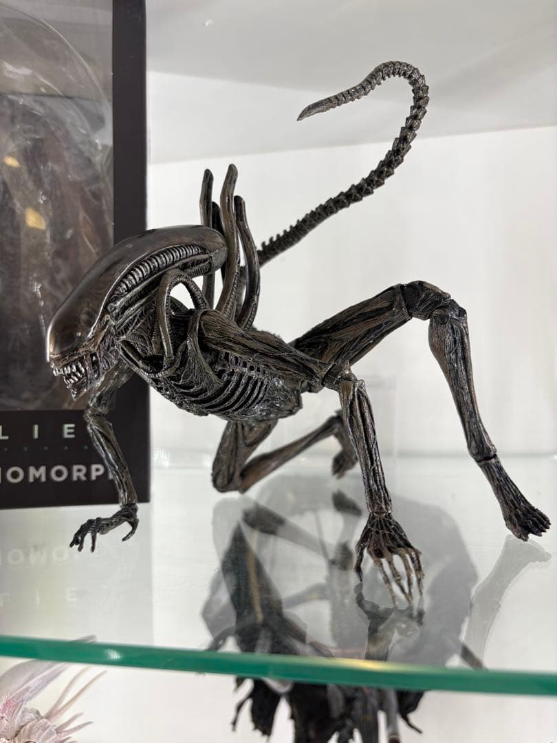 ネカ　エイリアン　コヴェナント　ゼノモーフ　豆魚雷