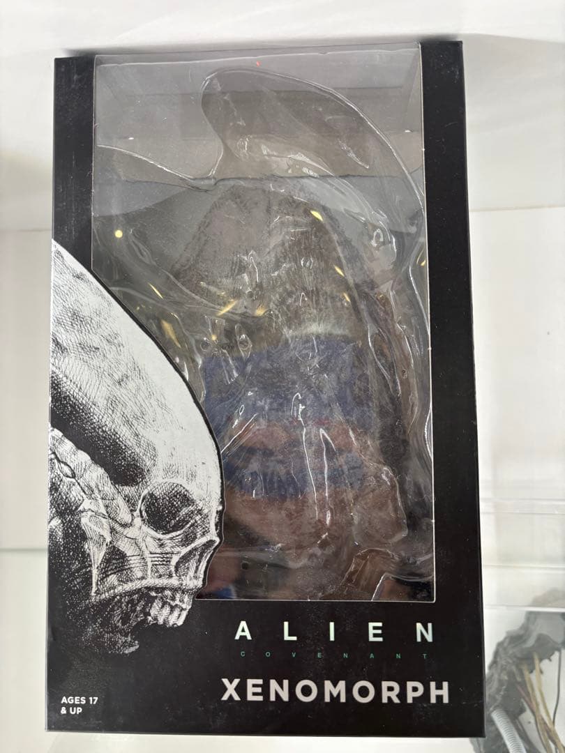 ネカ　エイリアン　コヴェナント　ゼノモーフ　豆魚雷