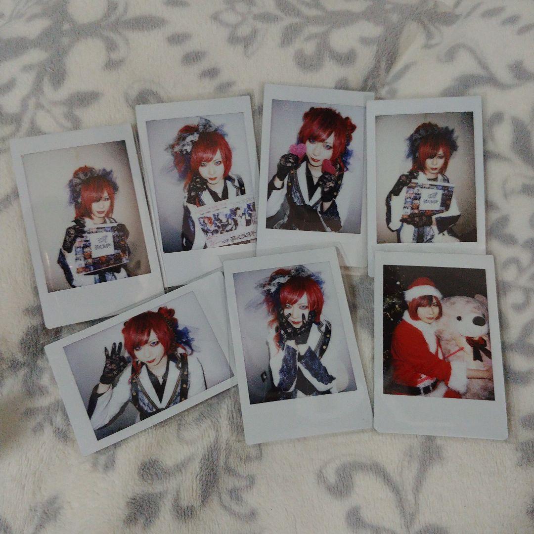 Royz 公大 チェキ91枚