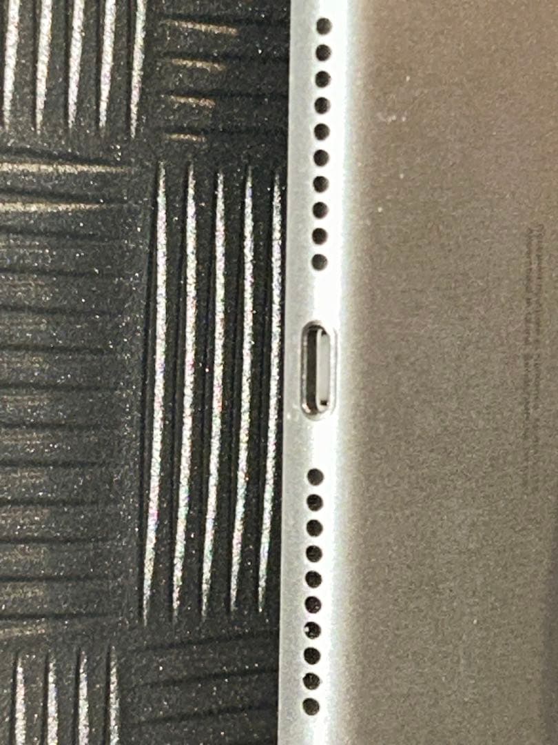 iPad mini 第5世代 [純正箱・付属品完備] ホワイトスポットあり