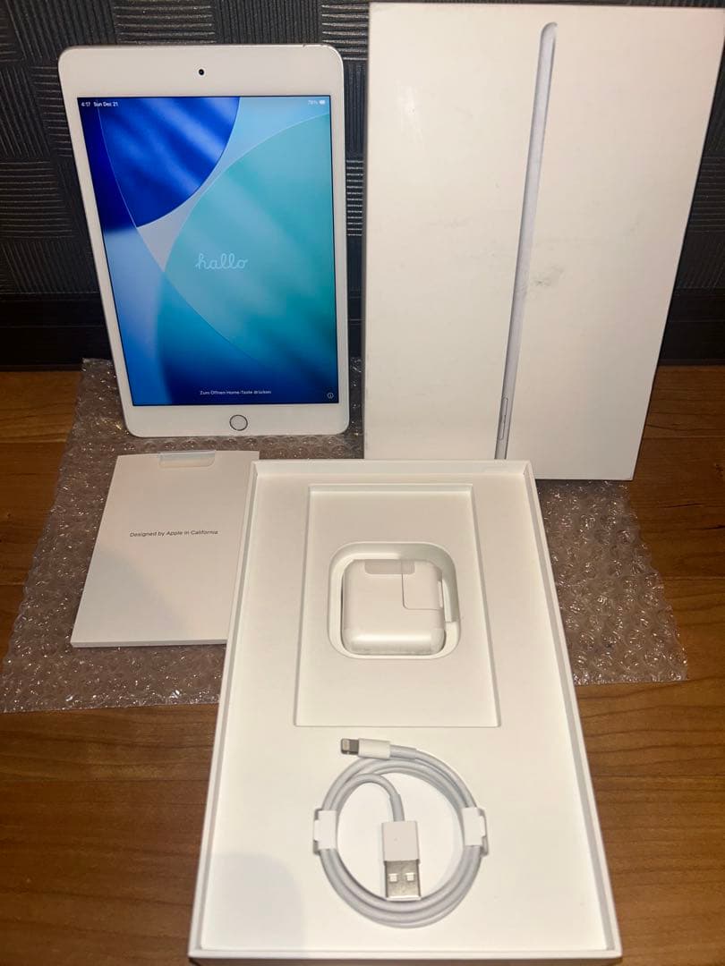 iPad mini 第5世代 [純正箱・付属品完備] ホワイトスポットあり