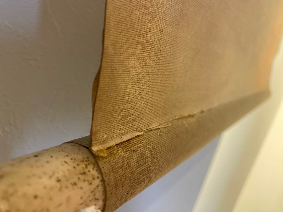 西山芳園　芳園　紙本　扇面　アサガオ　朝顔　牽牛花　茶掛