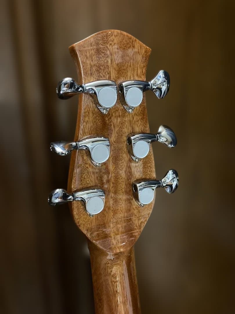 aNueNue aNN-LF23E フルサイズ・センターホールギター(PU付)