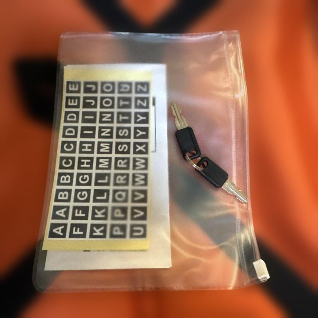 ANAオリジナルカーボンキャリーケース