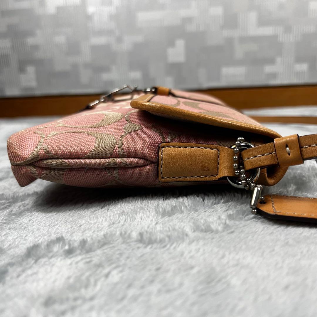 Coach コーチ アクセサリーポーチ シグネチャー ピンクベージュ