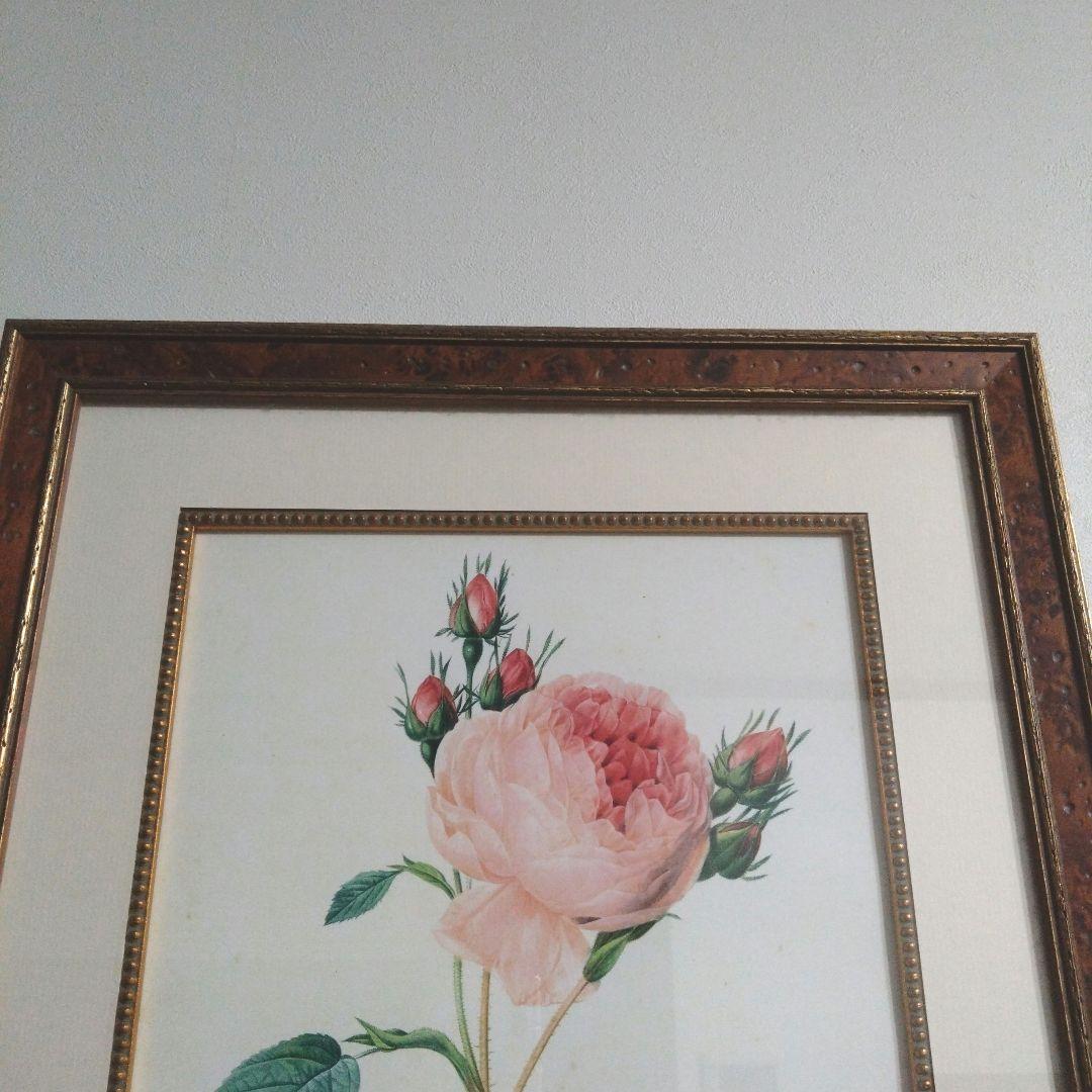 ① ルドゥーテ 絵額 レ ローズ バラ図譜 フォリオ判 銘木調フレーム 額 絵