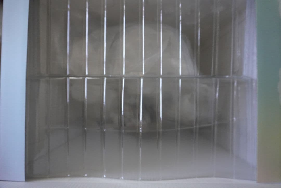 ランカ・リー　アマテラス　フィギュア　マクロスF　フロンティア 　1/7