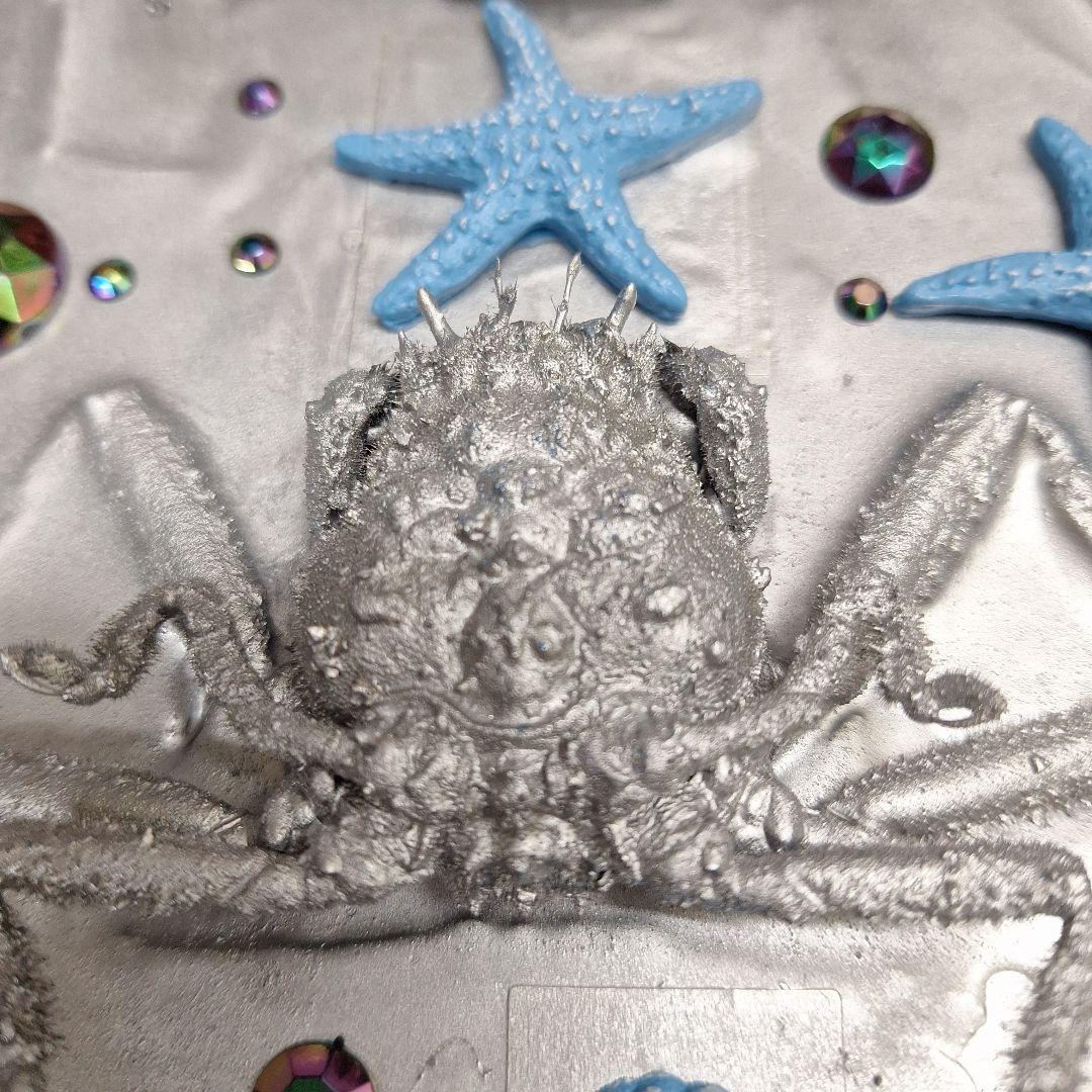 平家怨霊人面蟹稀少レア平家蟹鬼面蟹ペア二点凹凸リアル立体標本飾り置物コレクション