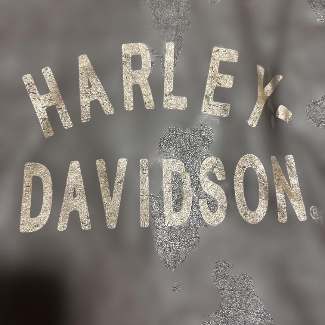 Sサイズ ハーレーダビッドソン　シングルライダースジャケット　ブラウン