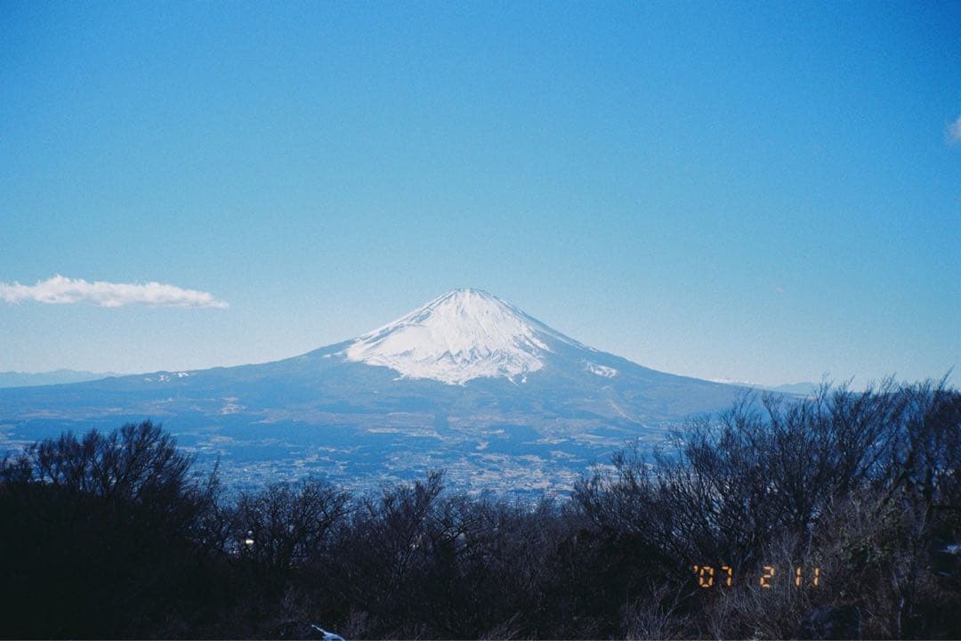 CONTAX T2（データバック付）