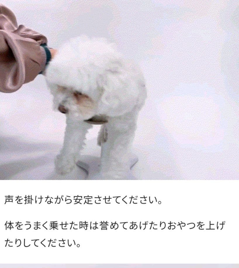 ペット用トリミング椅子