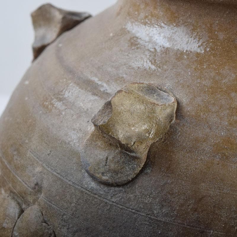 中国　飴釉　花草刻　双耳壷　時代箱　Z　8615A