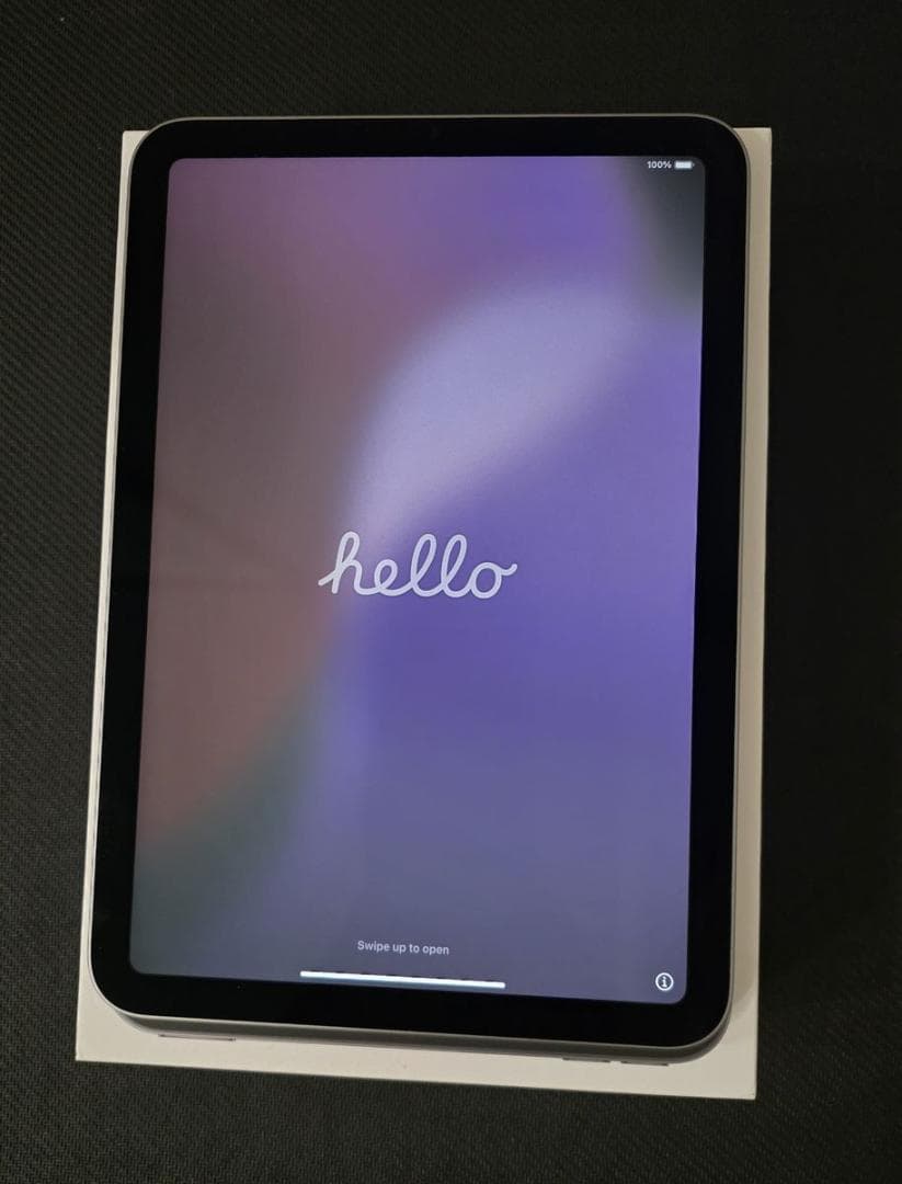 Apple iPad mini （A17 Pro） 8.3インチ Wi-Fi