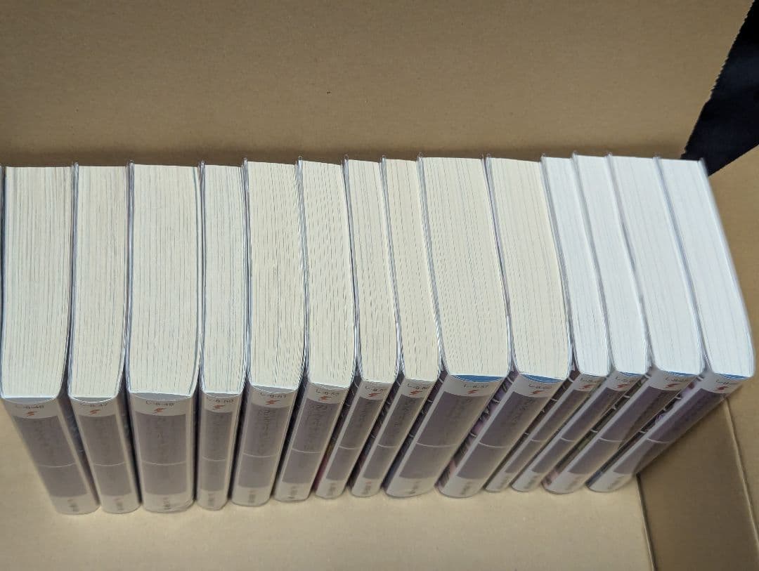 時雨沢恵一先生作品まとめ売り