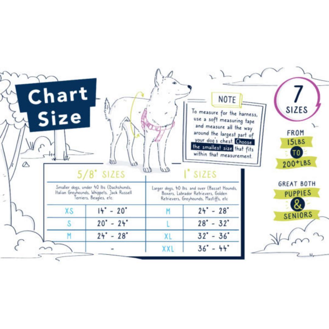 引っ張り防止 犬用ハーネス リード付き Sサイズ カラフル