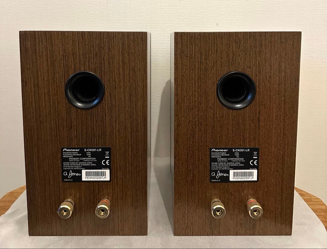 PioneerパイオニアスピーカーS-CN301-LR
