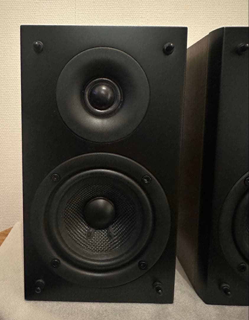 PioneerパイオニアスピーカーS-CN301-LR