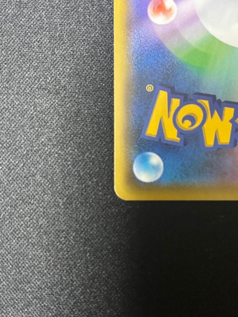 シロナアンドカトレアsr