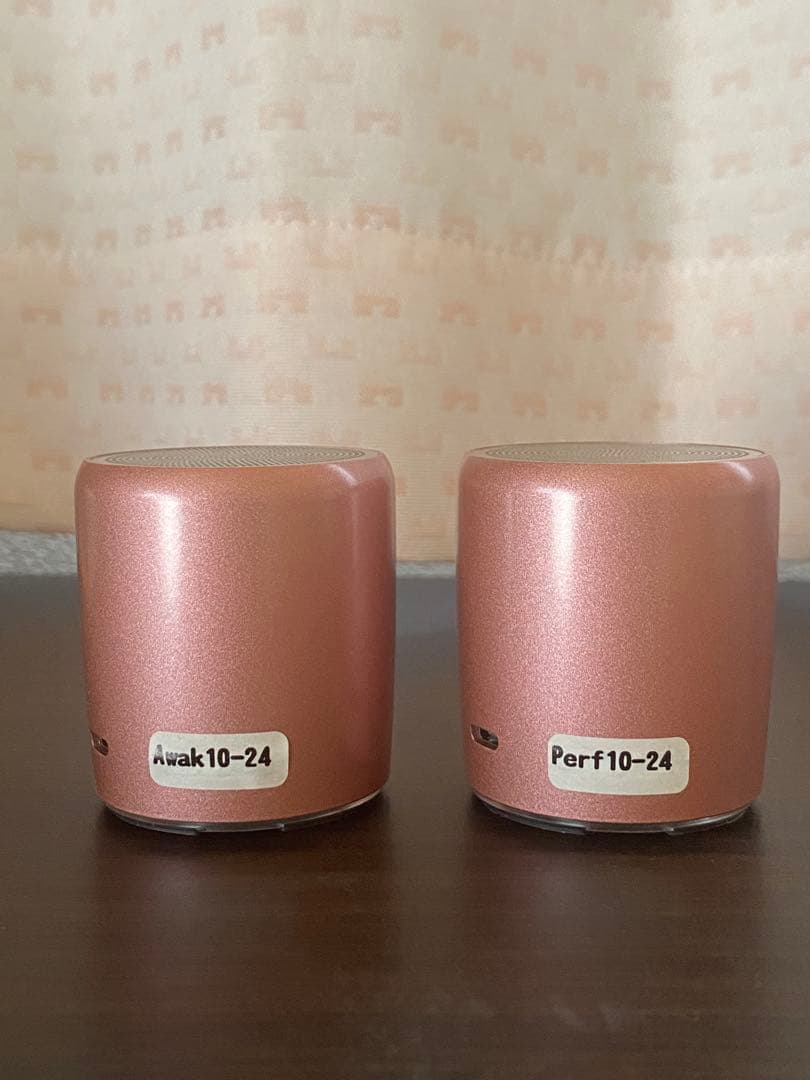 マナーズサウンド スピーカーPerfect10 Awaken10