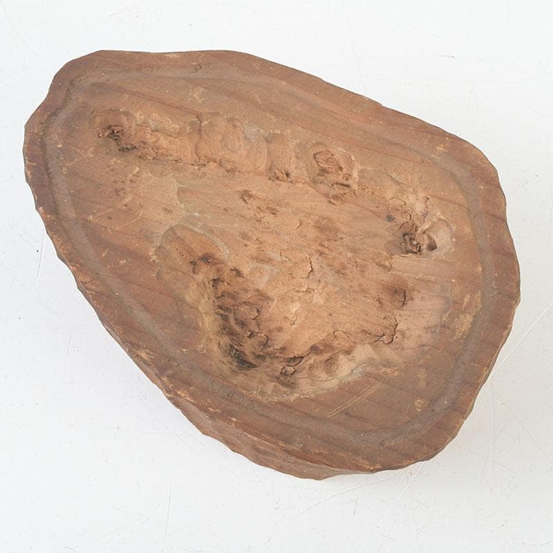 鑑賞石　天然石　菊花石　置物　台付　Z　9752