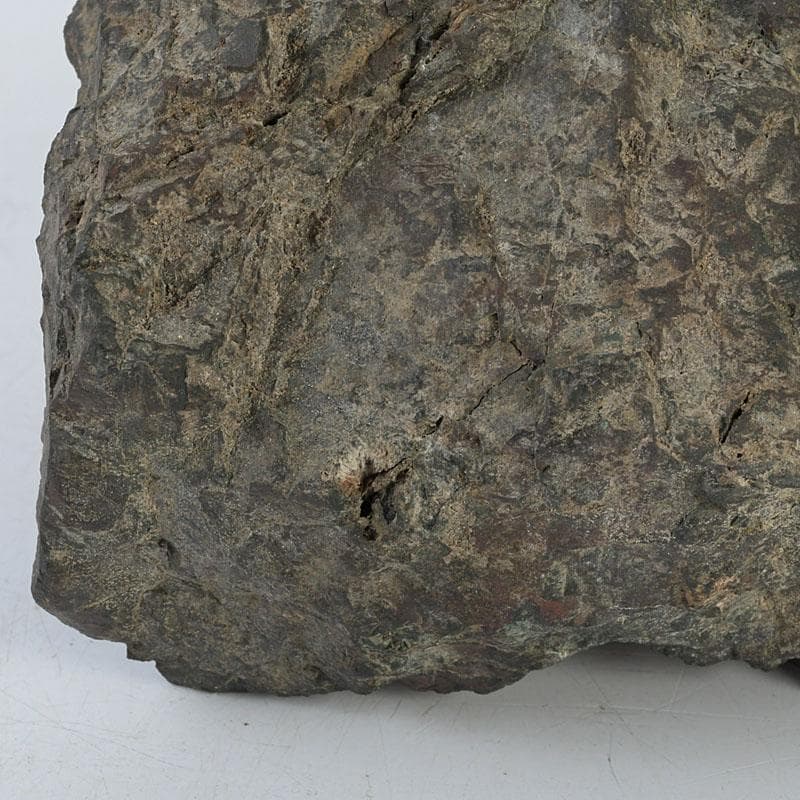 鑑賞石　天然石　菊花石　置物　台付　Z　9752