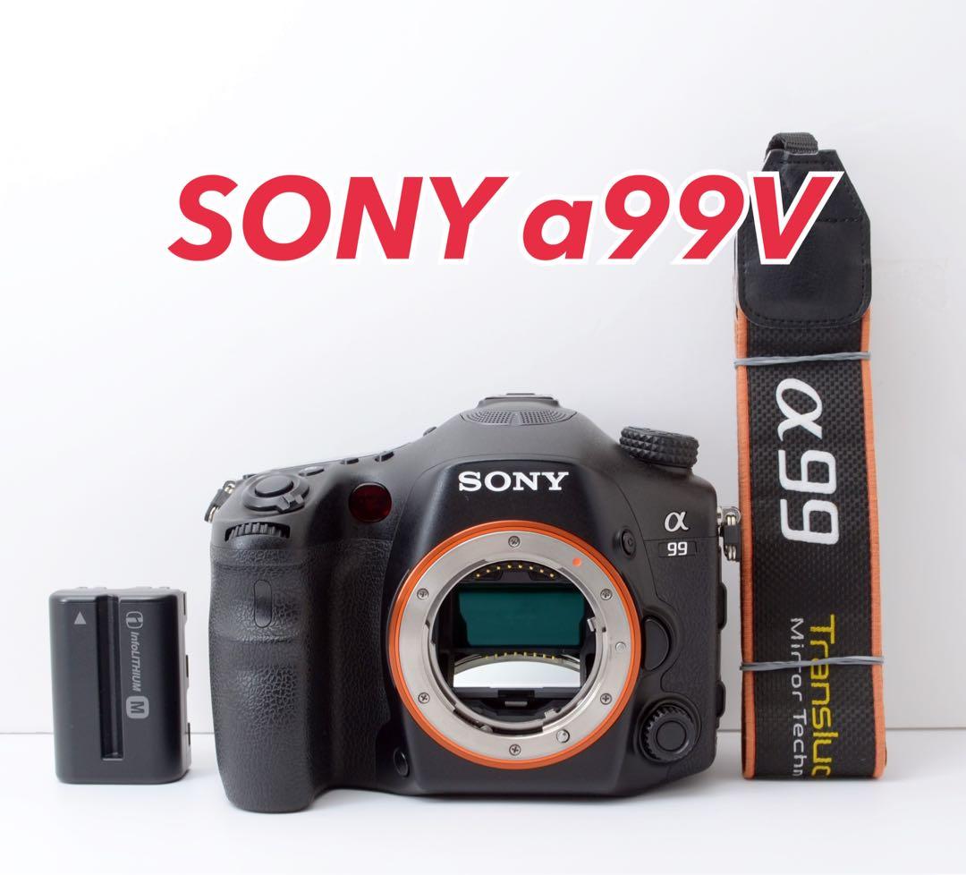 専用★S数約3500回！SONY α99★美品★純正ストラップ付き