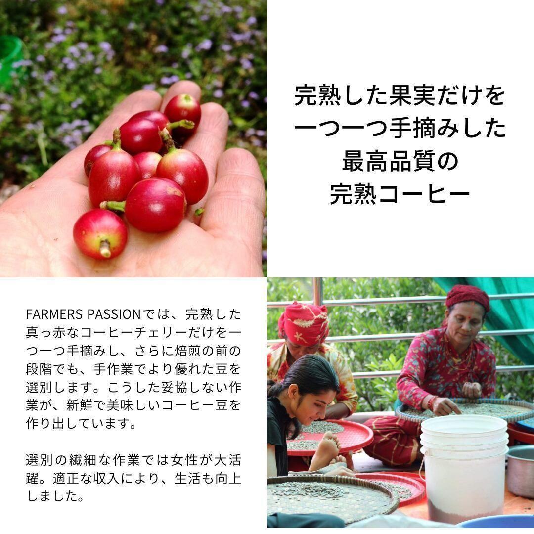 ○オーガニックコーヒー ストロング フェアトレード 1kg コーヒー豆 ネパール