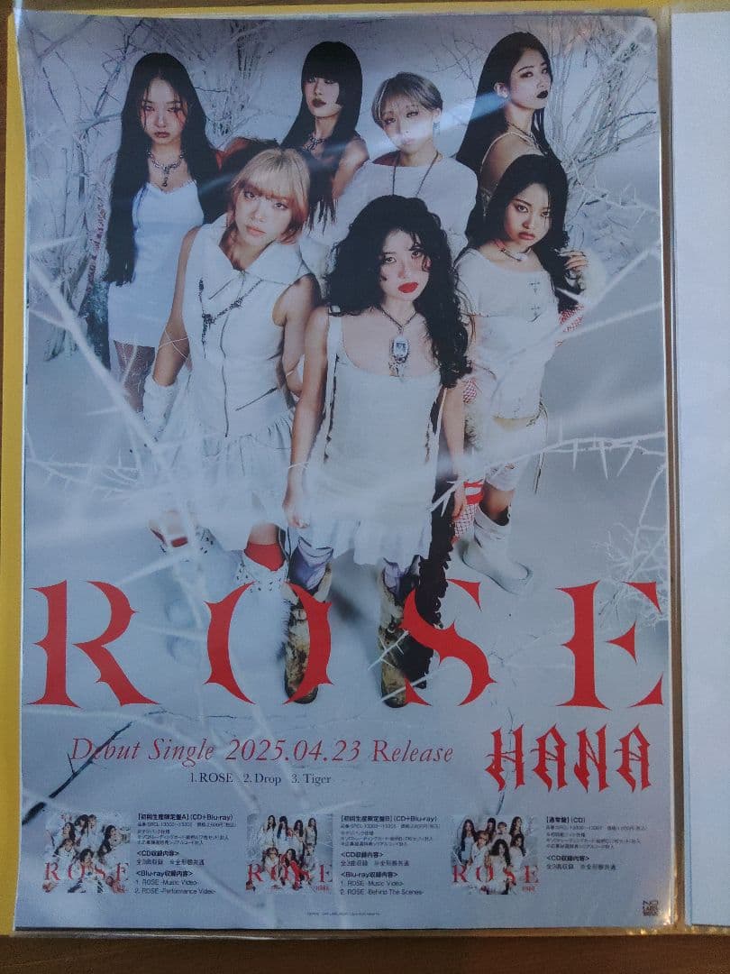 ROSE HANA 告知　ポスター　Rose　1月18日までの出品