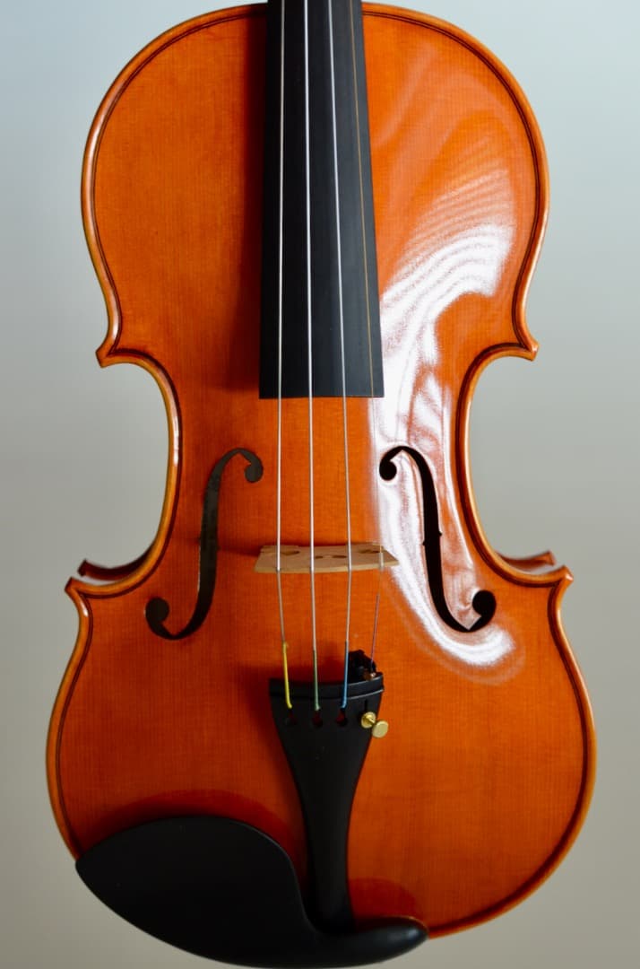 本体のみ【超美品】スズキ バイオリン No.540 4/4 2017年製