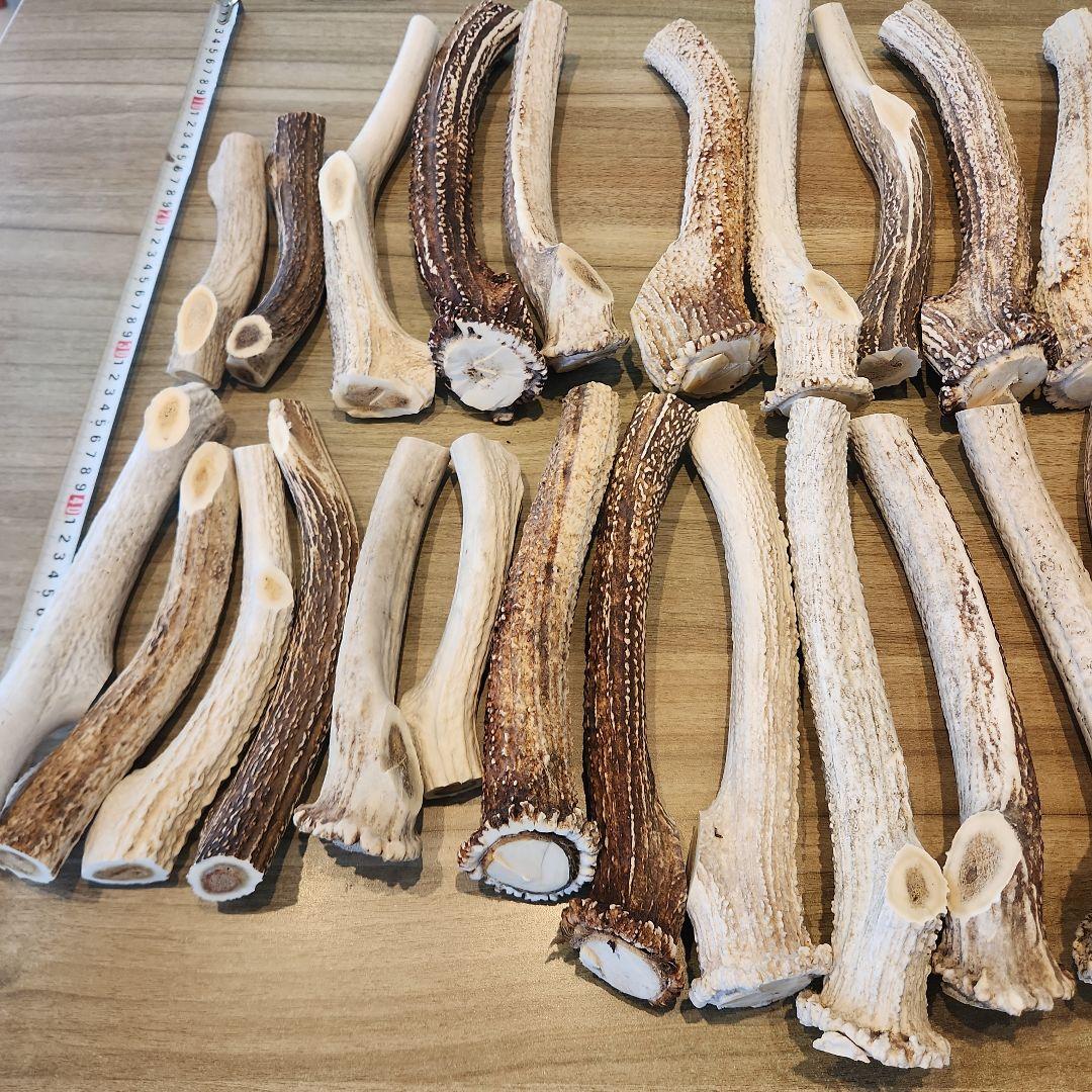 鹿の角　ランダム５kgセット