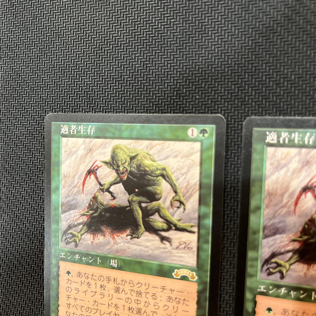 mtg 適者生存 2枚セット