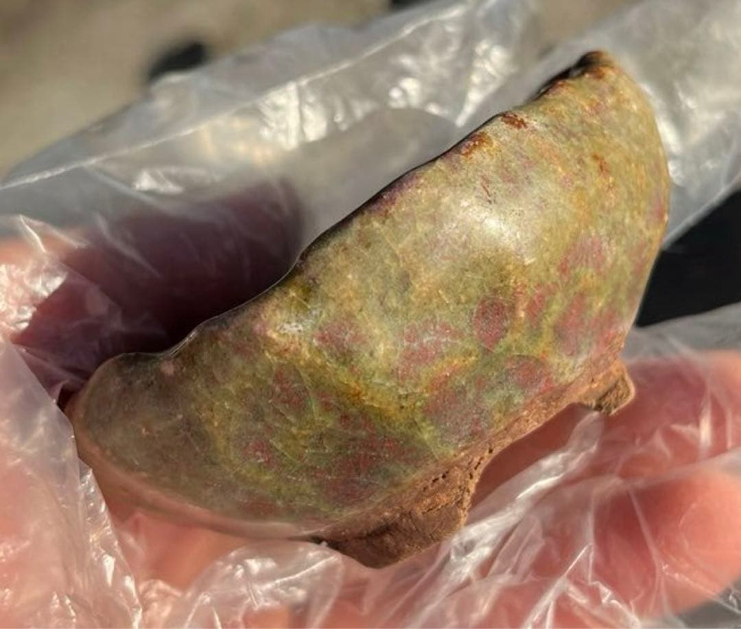 虹泉　盆栽鉢　小品　ミニ