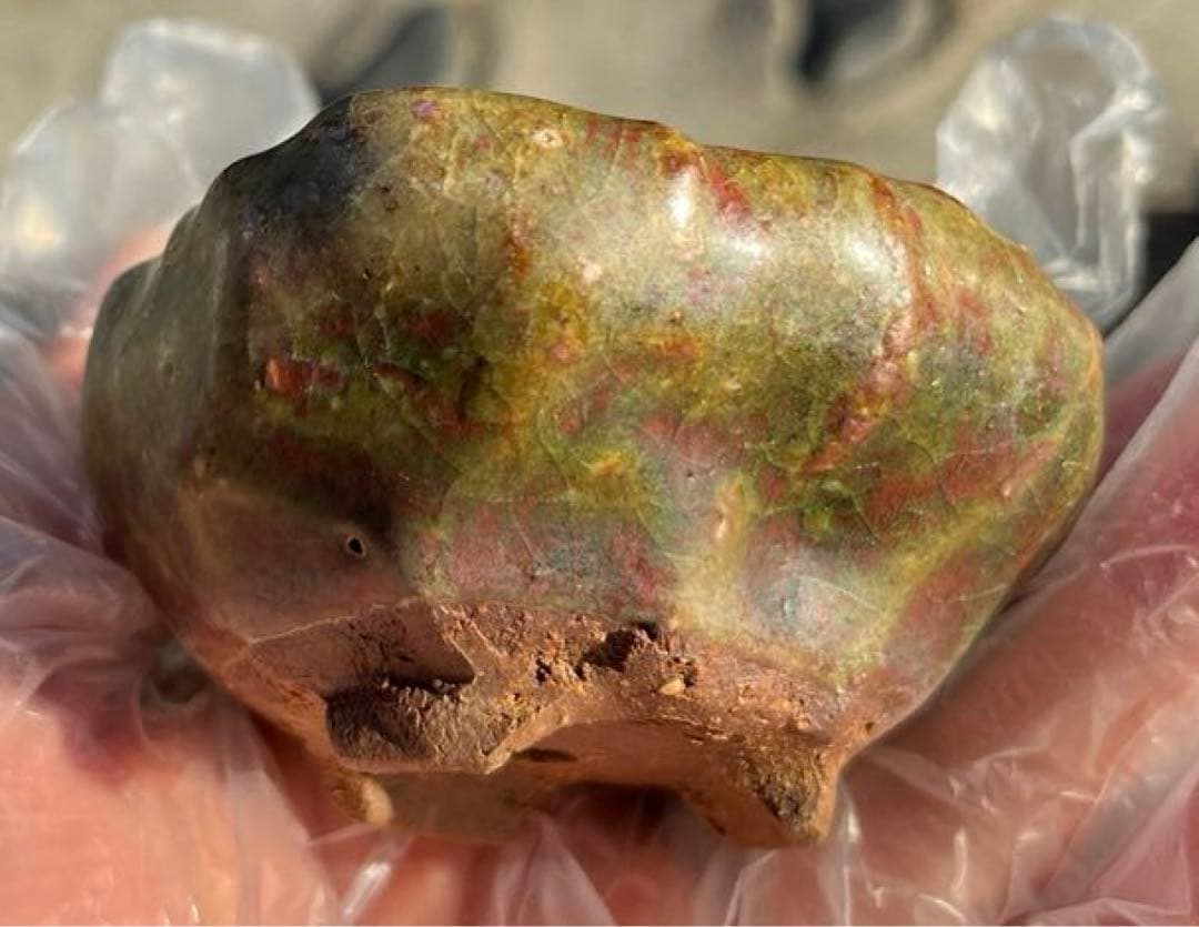 虹泉　盆栽鉢　小品　ミニ