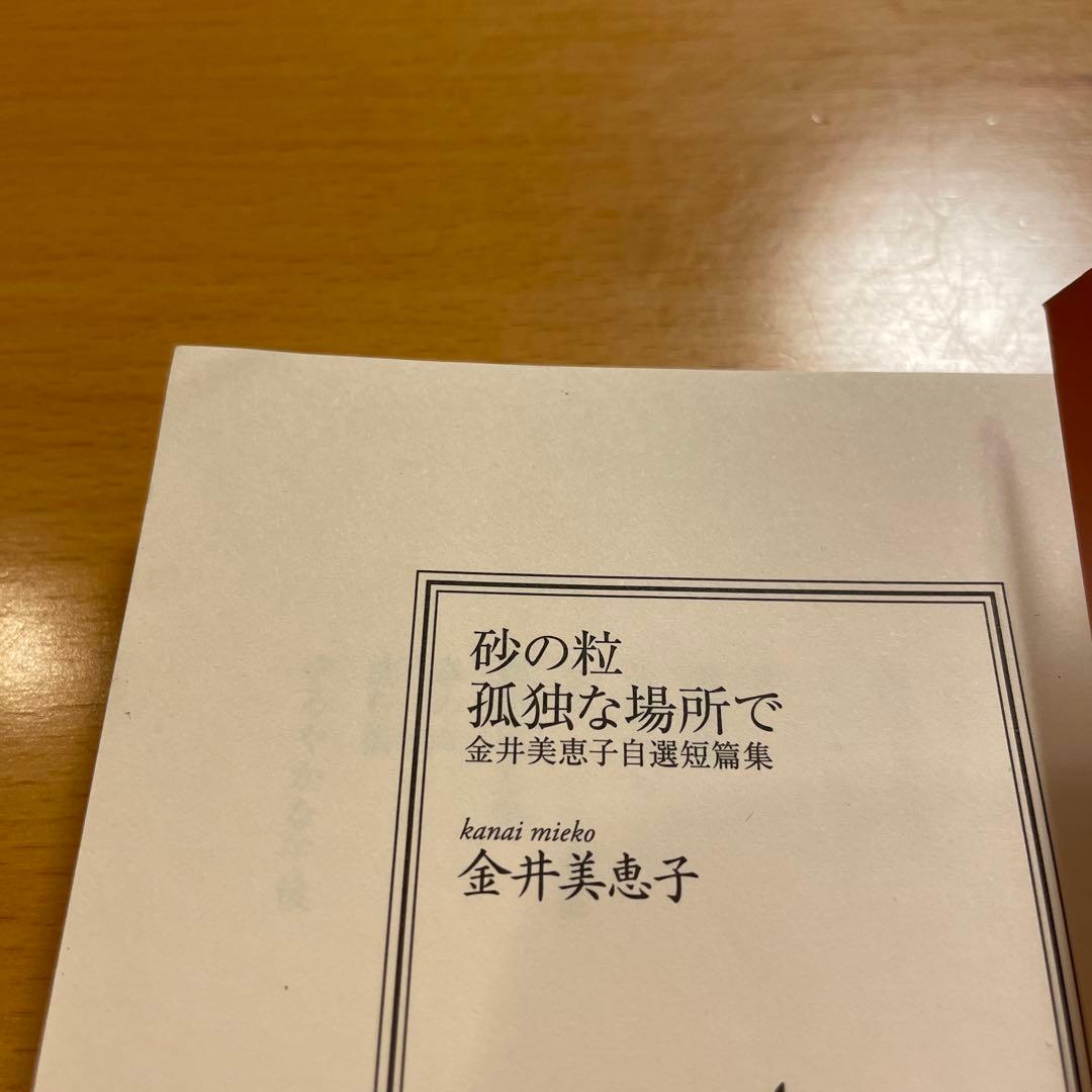 【絶版セット・希少・美品】 金井美恵子 自選短篇集 講談社文芸文庫 【匿名配送】