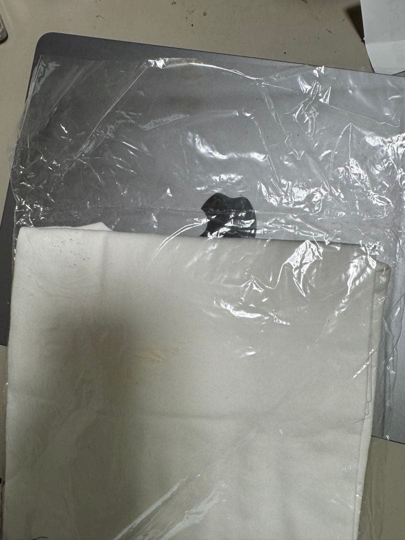 ブライアン・ウィルソン 2005年「SMILE」ジャパンツアーTシャツ M