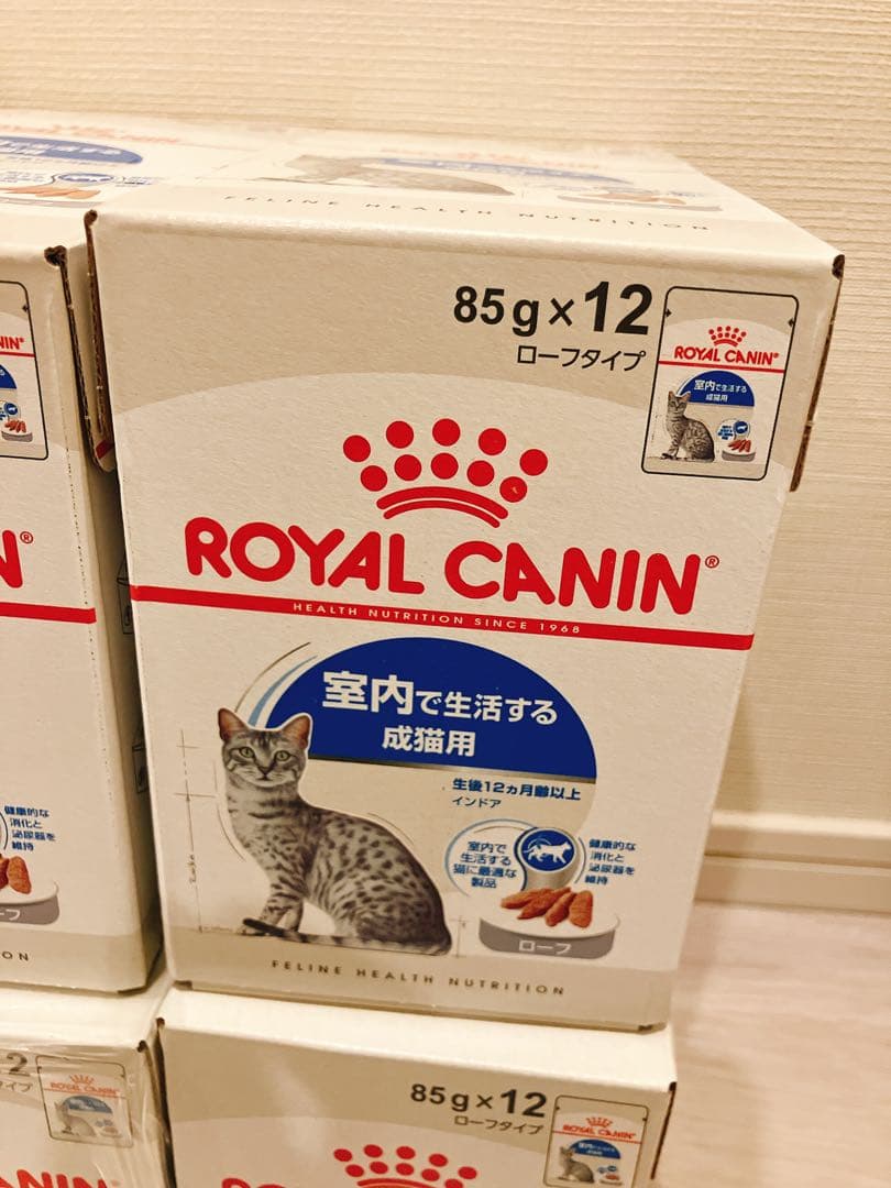 ロイヤルカナン 室内で生活する成猫用 ローフタイプ ウェット【値下げ】